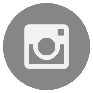 icon instagram gray3x 300x300
